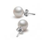 10mm round shell pearl studs